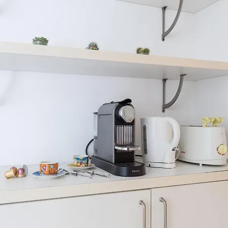 Comfortable 1 Bdr Downtown - Ac & Parking * 尼斯